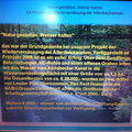2012 01 22 Gruenkohlwanderung in die Allerdreckwiesen mit Infos zu wiedervernaessten Flaechen vom NABU  Kaffee und Kuche 022